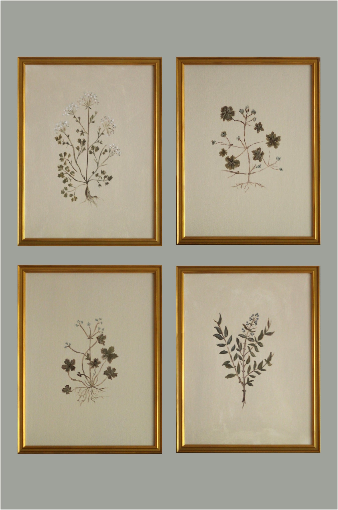 Original Botanical Painting Prints - Set of 4