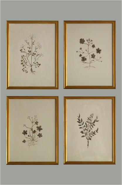 Original Botanical Painting Prints - Set of 4