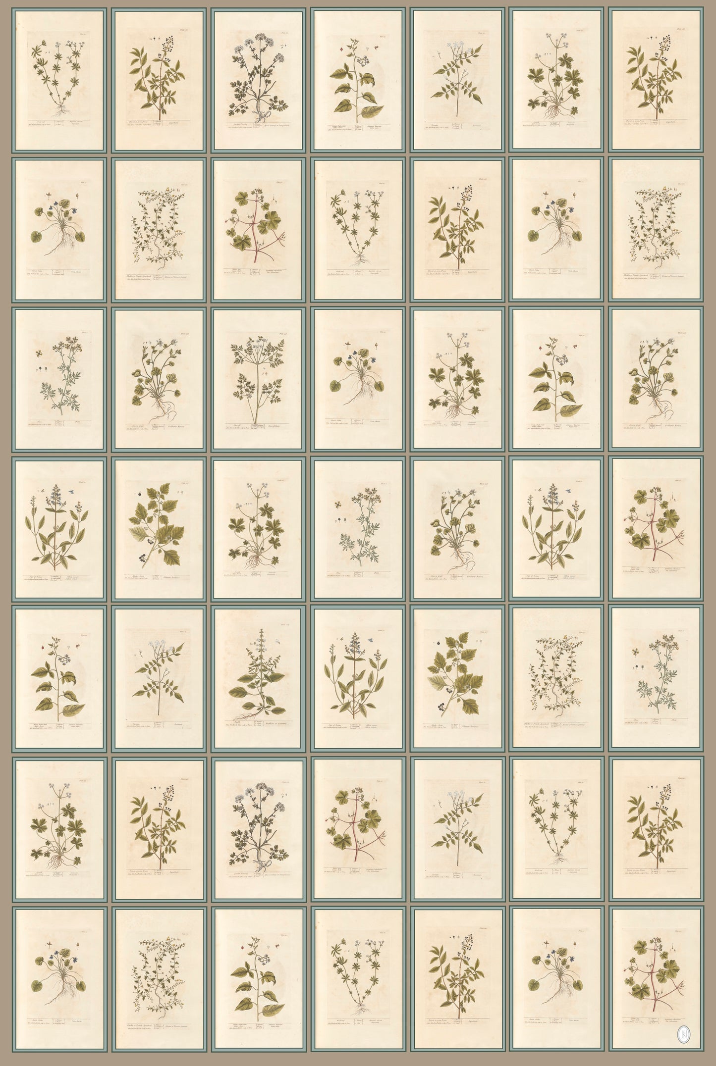 Antique Botanical Wrapping Papers - 4 sheets