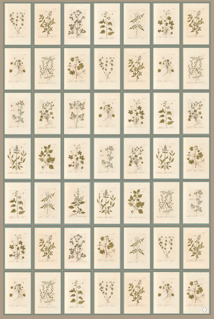 Antique Botanical Wrapping Papers - 4 sheets