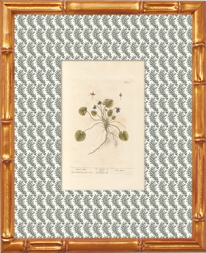 Antique Botanical Collection | Art Prints | Set of 12
