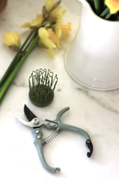 Flower Frogs