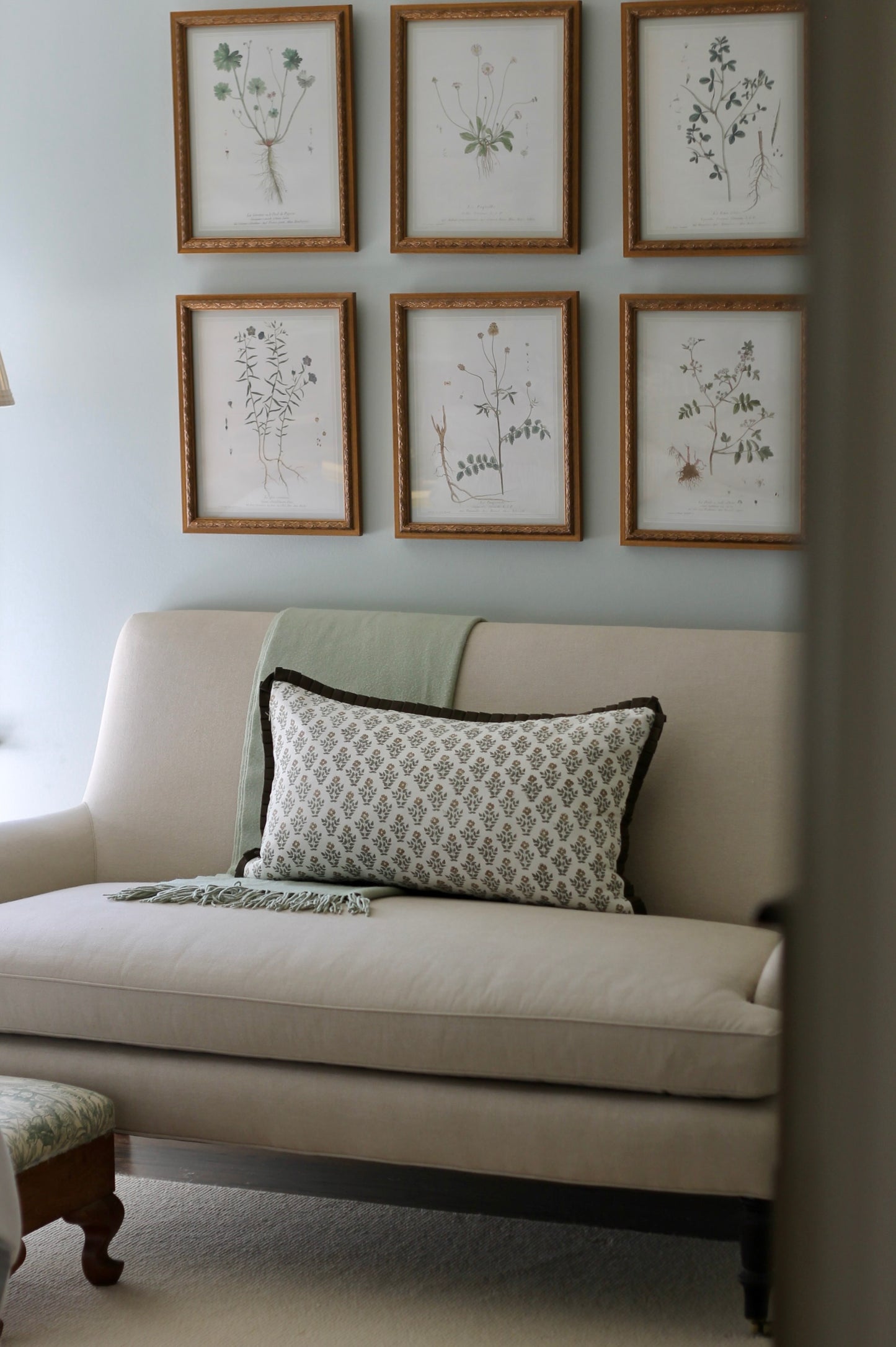 French Botanicals with Soft Border | Le Lin Commun