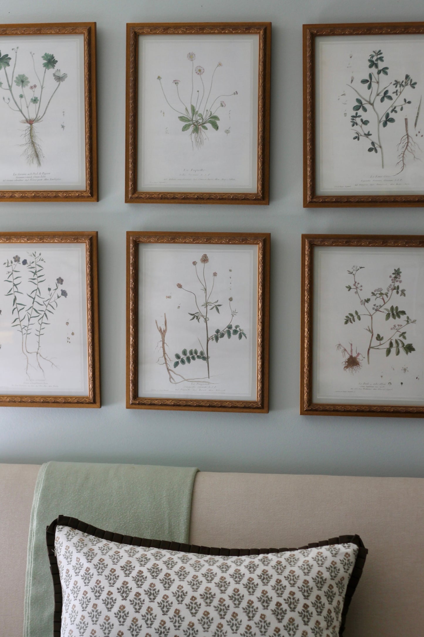 French Botanicals with Soft Border | Le Lin Commun