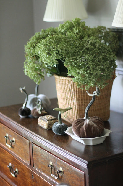 Espresso Velvet Pumpkins