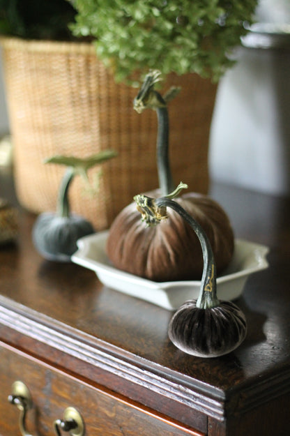 Espresso Velvet Pumpkins
