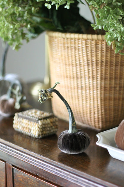 Espresso Velvet Pumpkins