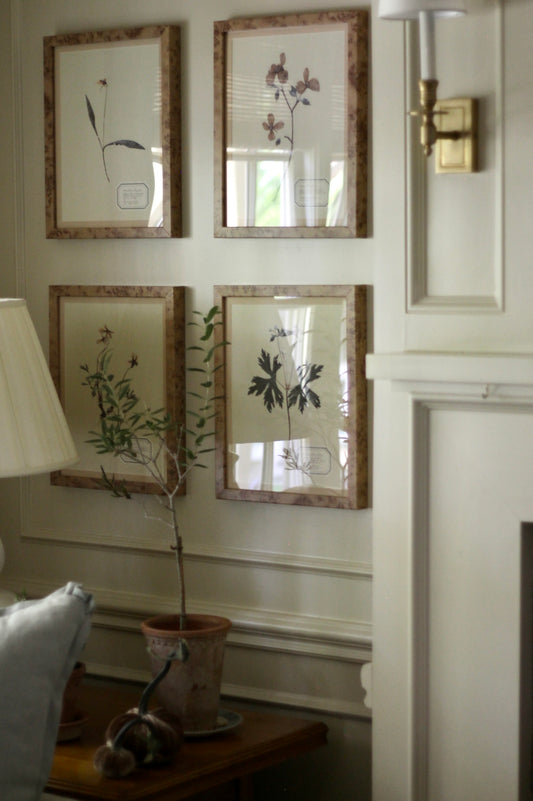 Aunt Lisa's Vintage Herbarium Prints