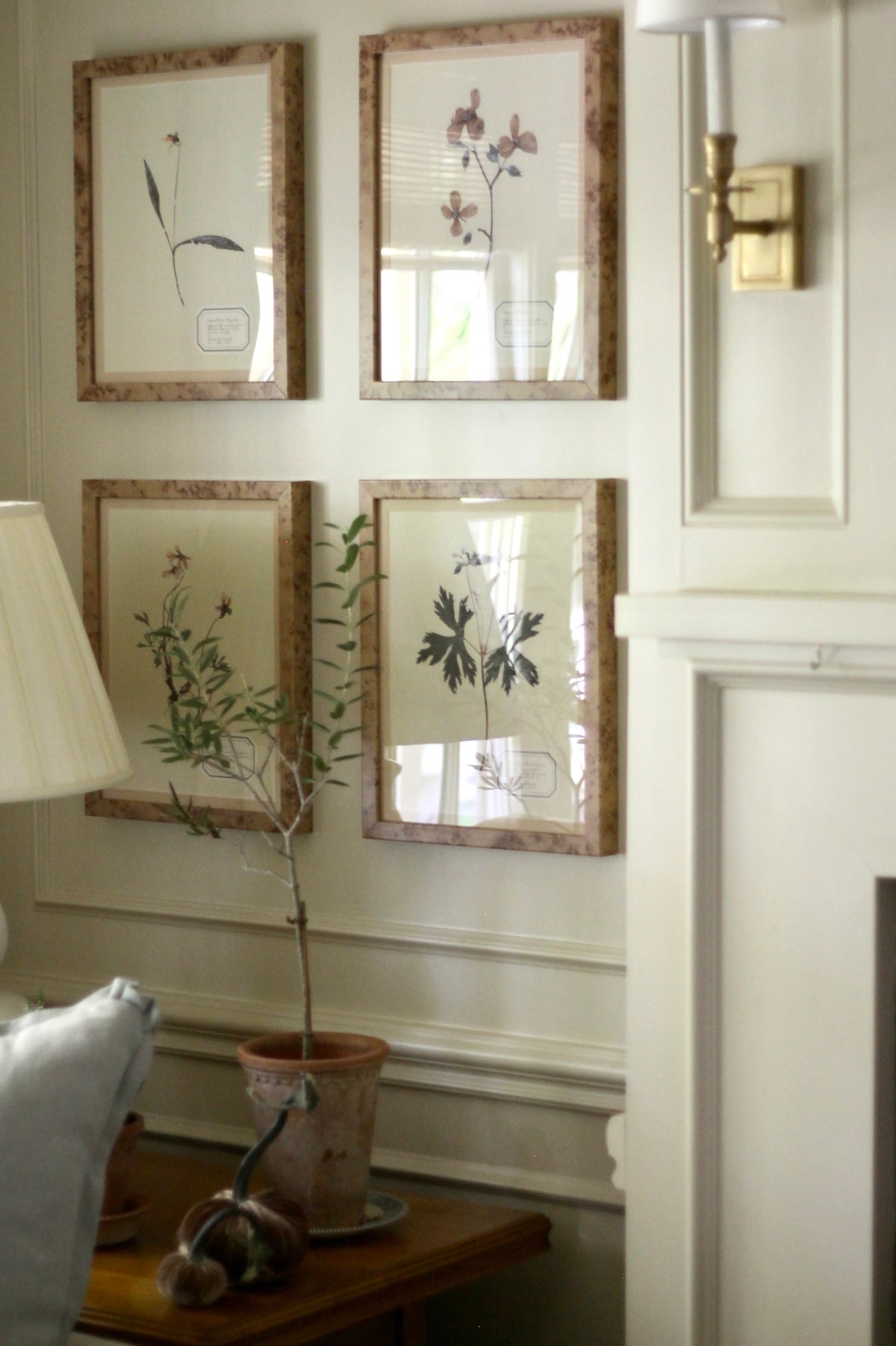 Aunt Lisa's Herbarium 4