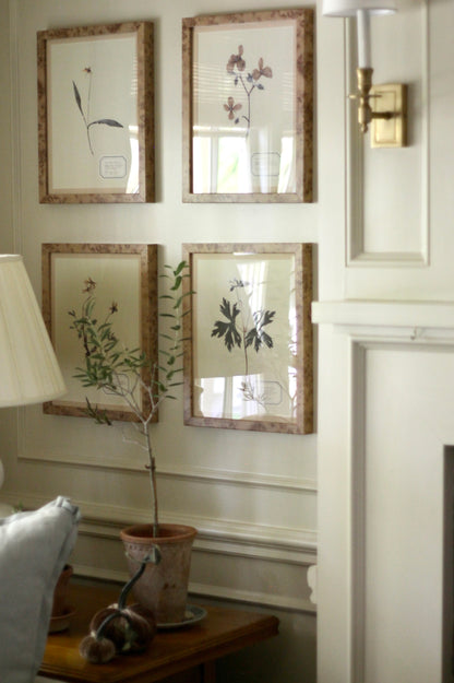 Aunt Lisa's Herbarium 4