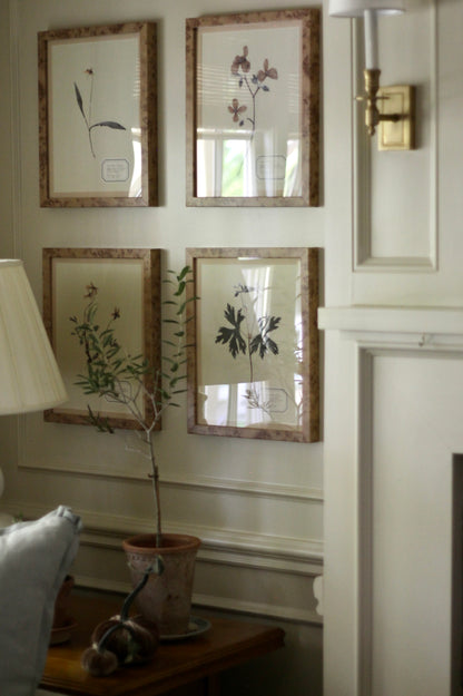Montecito Frames