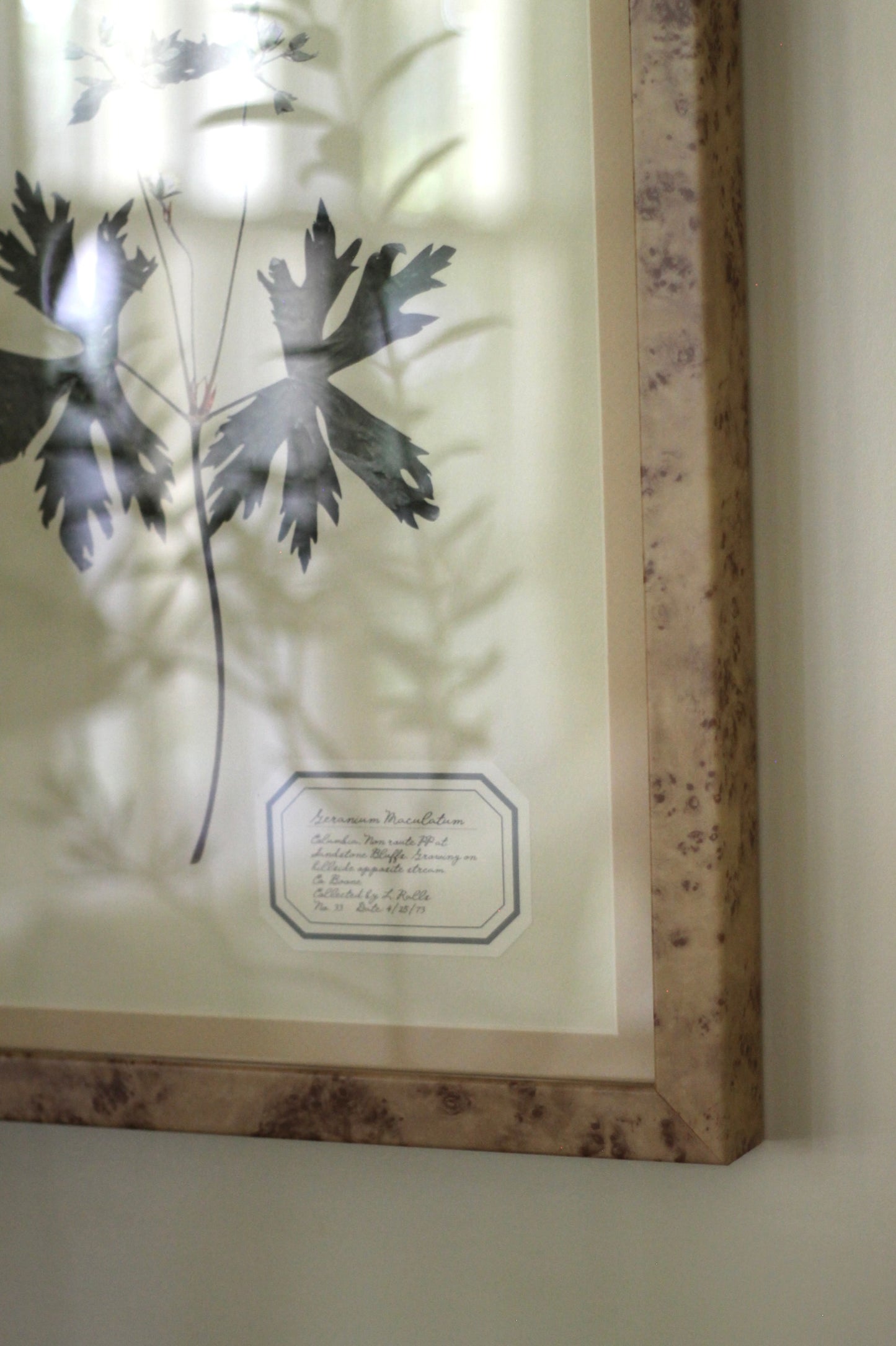 Montecito Frames