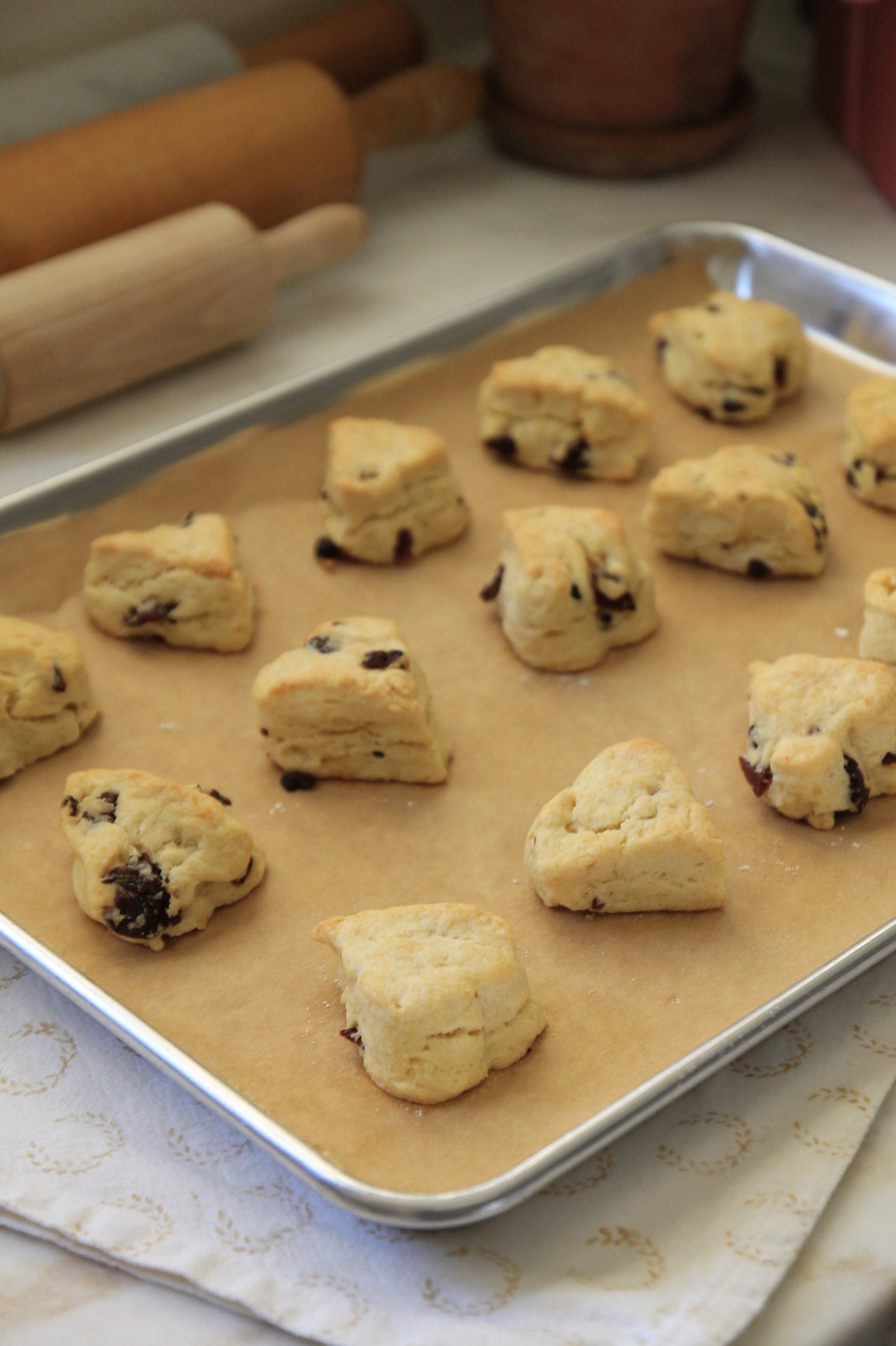 Parchment Paper