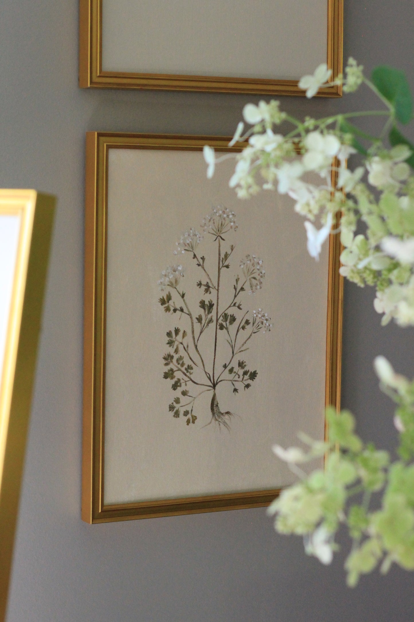 Original Botanical Painting Prints - Set of 4