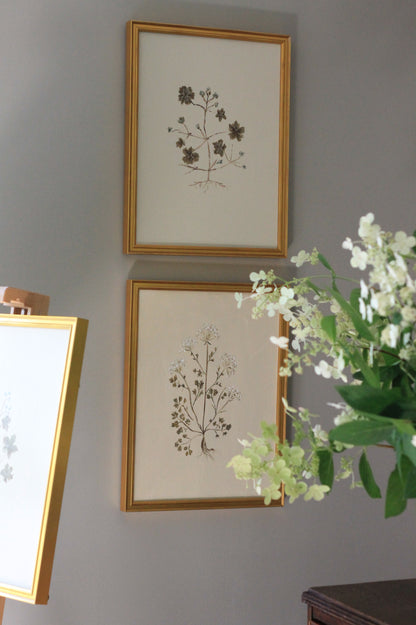Thin Gold Art Frames