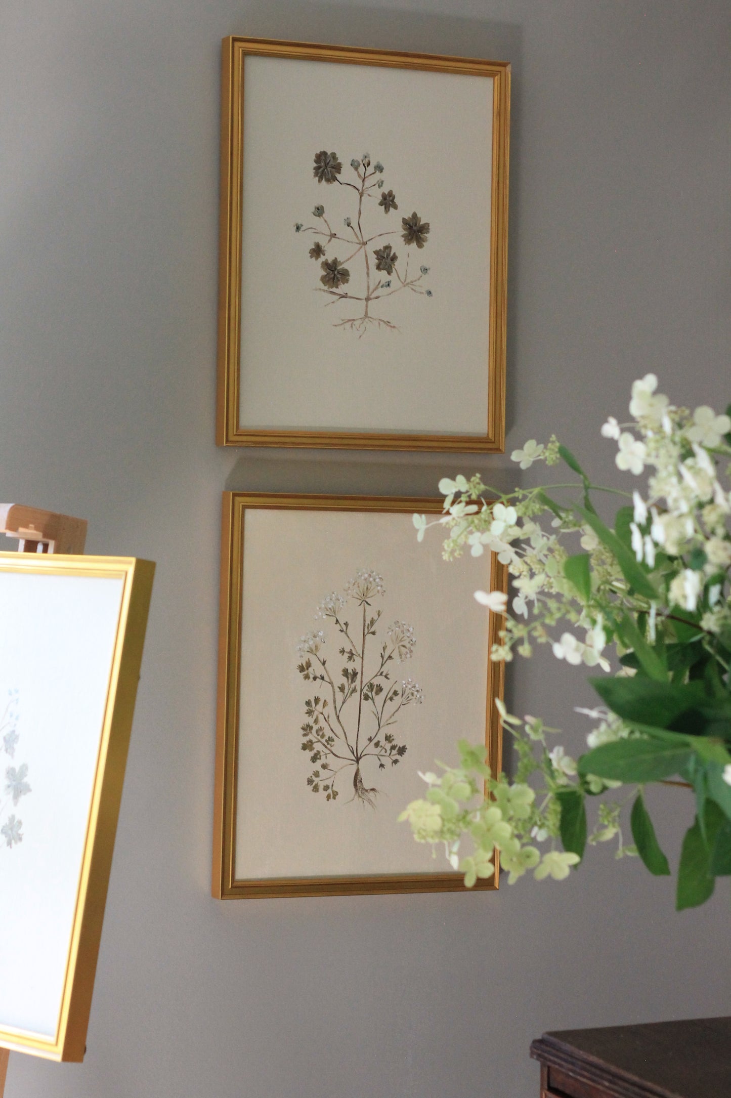 Original Botanical Painting Prints - Set of 4