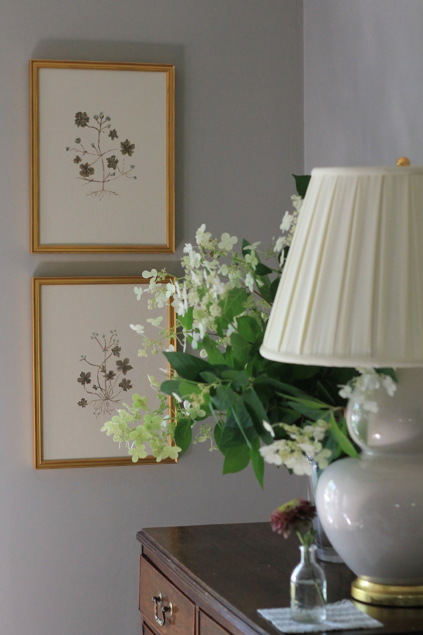 Original Botanical Painting Prints - Set of 4