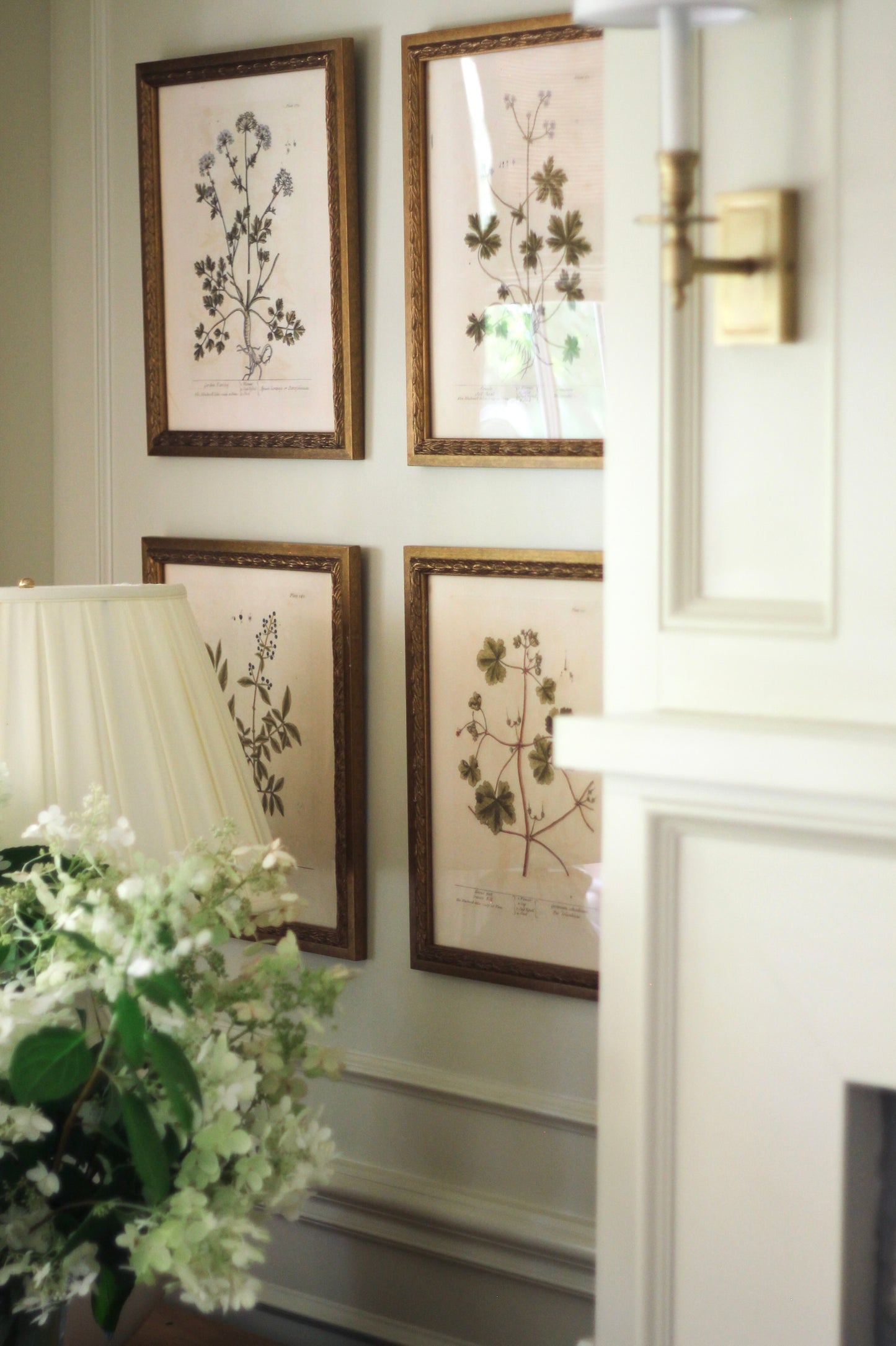 Antique Botanical Collection | Art Prints | Set of 12