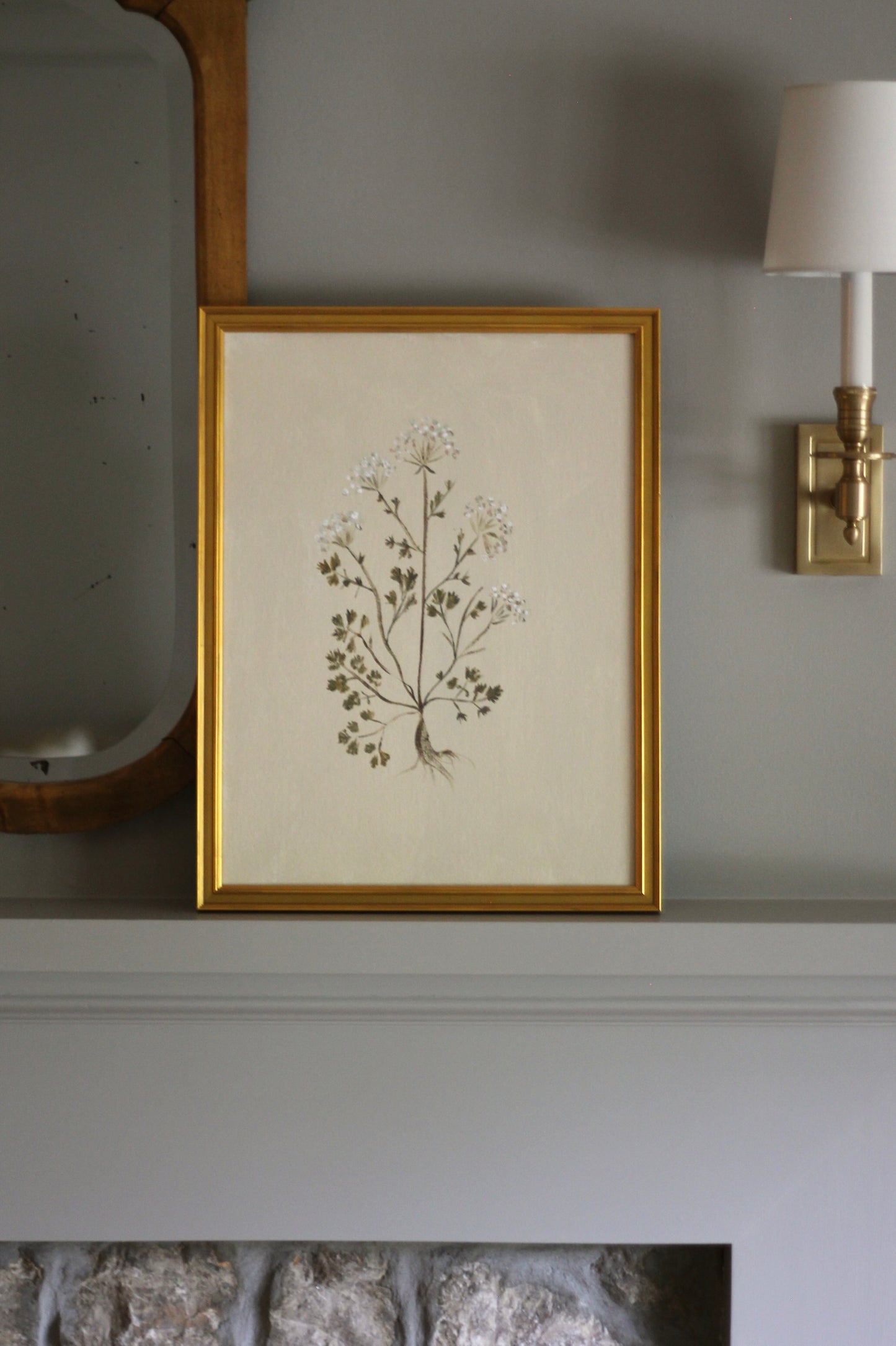 Original Botanical Painting Prints - Set of 4