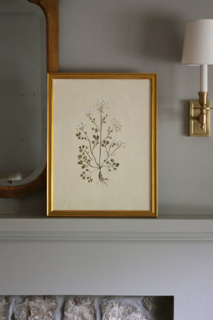 Original Botanical Painting Prints - Set of 4
