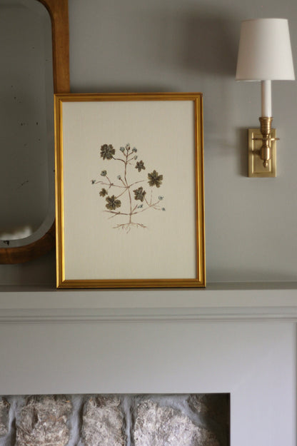 Original Botanical Painting Prints - Set of 4