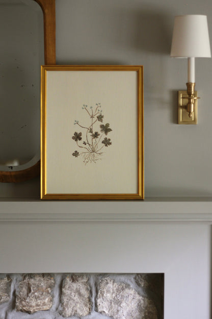 Original Botanical Painting Prints - Set of 4