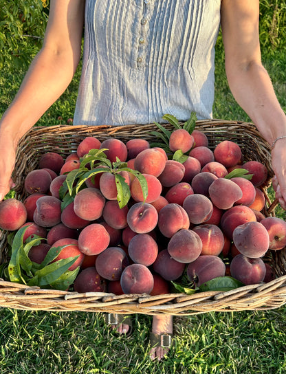 Peaches Pre-Order for Lexington Pickup