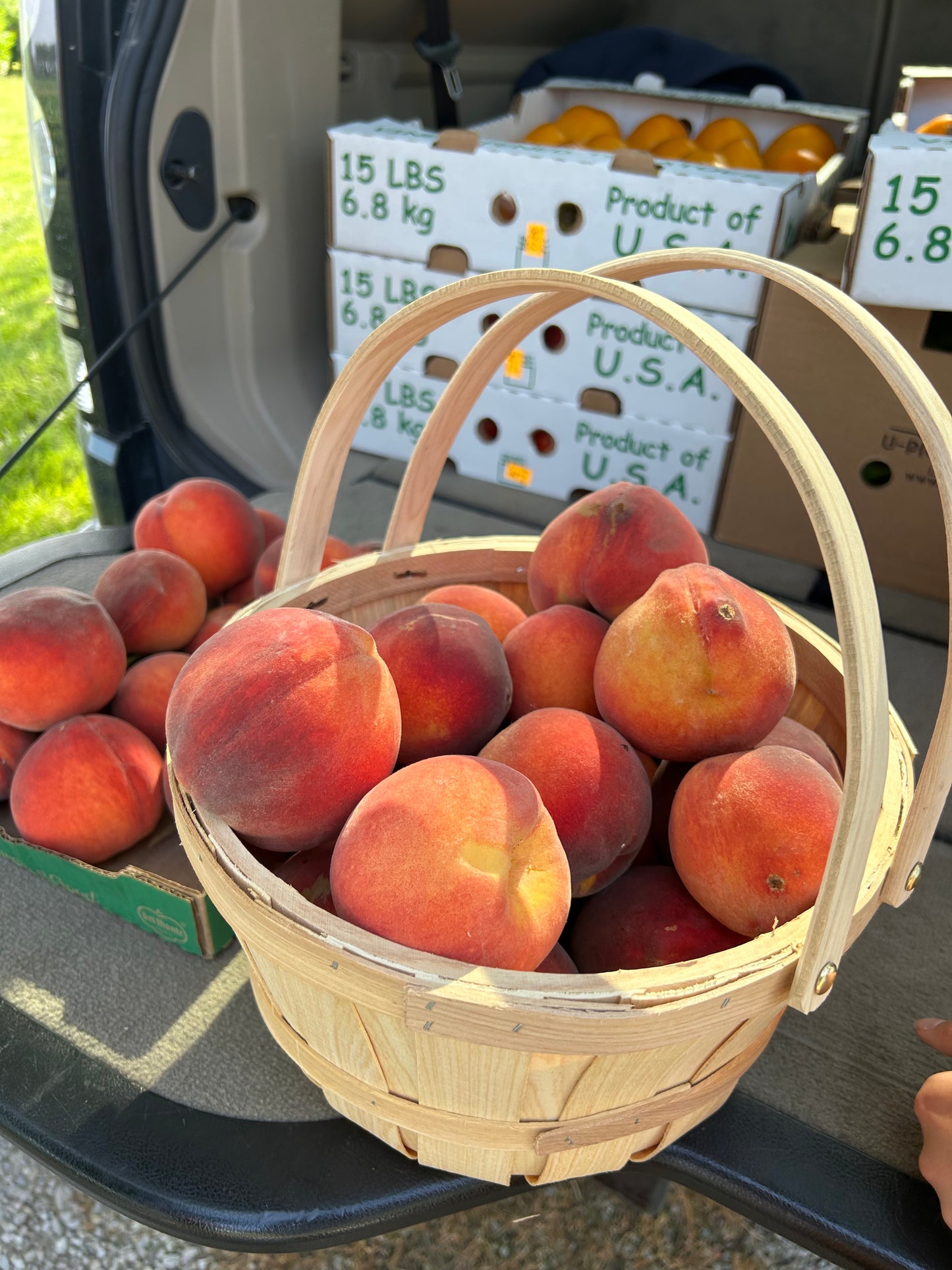 Produce Baskets
