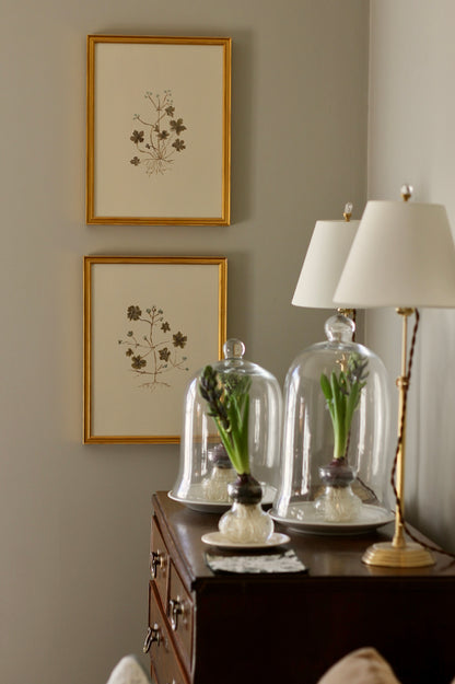 Original Botanical Painting Prints - Set of 4