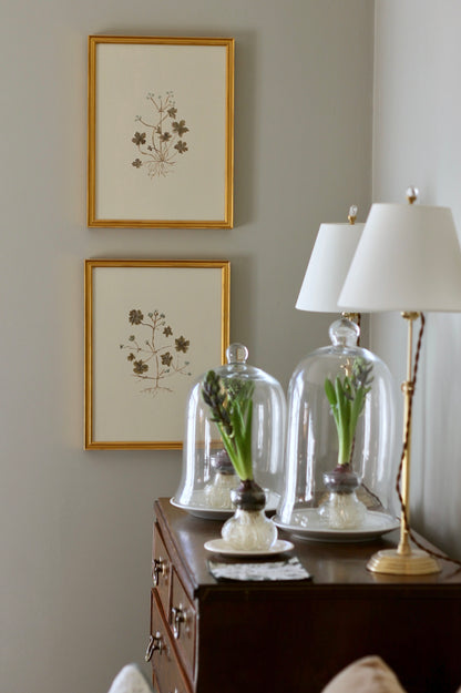 Original Botanical Painting Prints - Set of 4