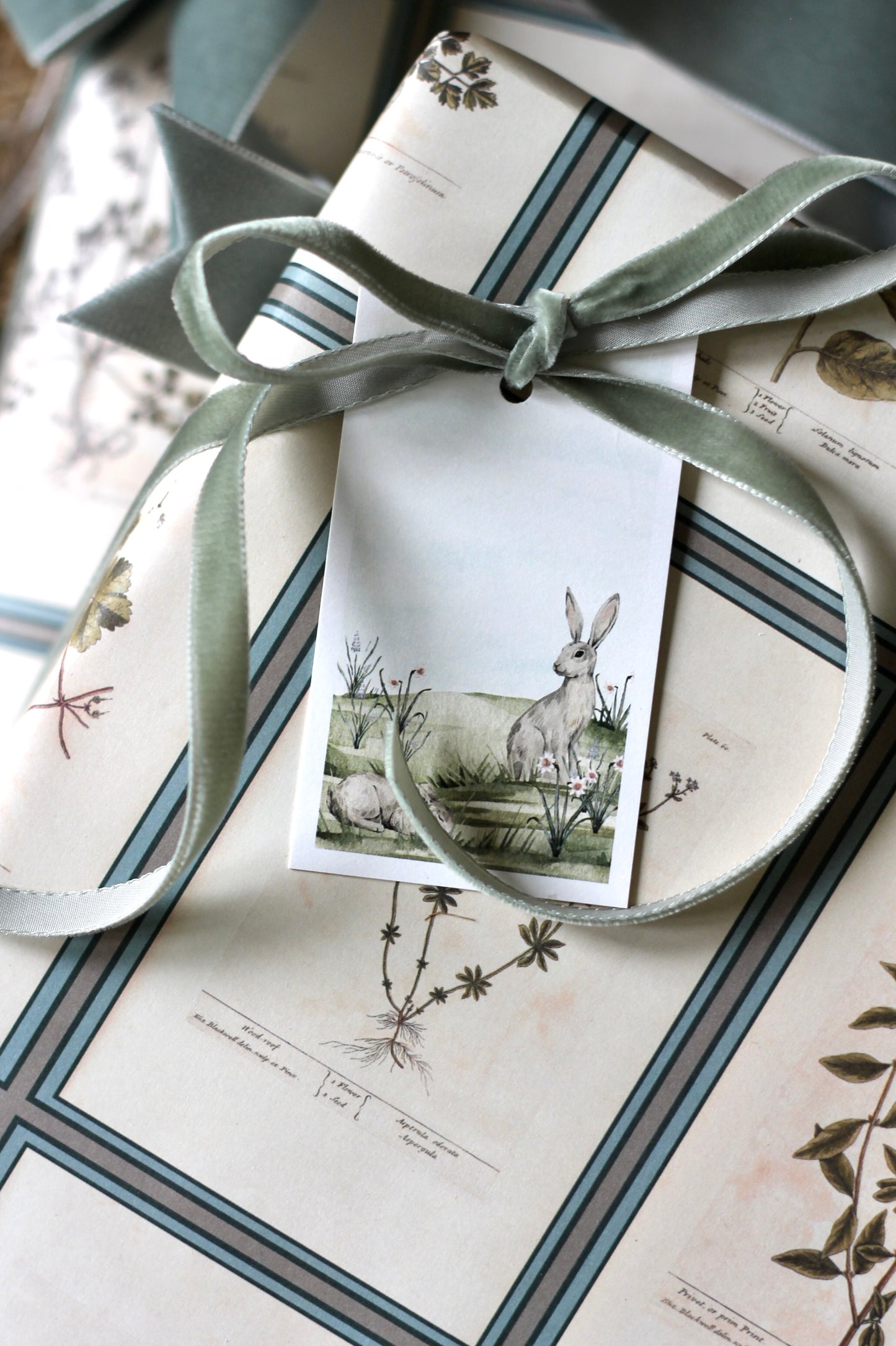 Meadow Tags | Set of 10