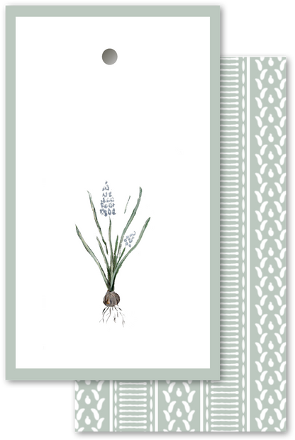 Muscari Tags