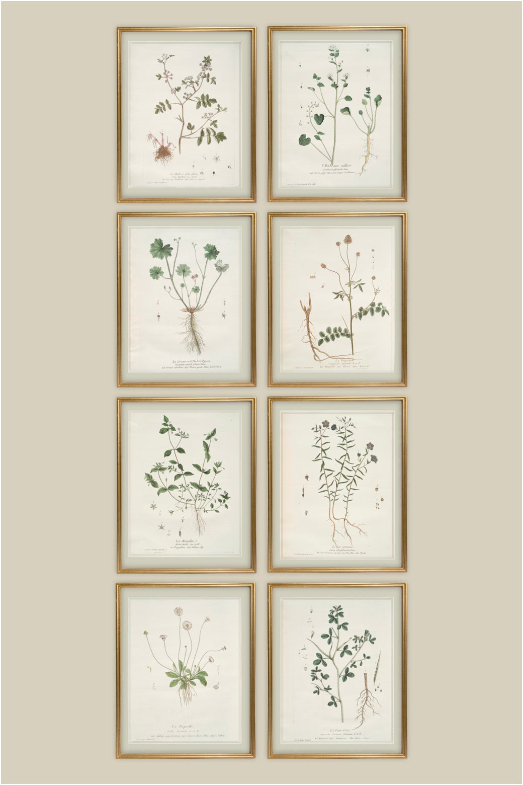 French Botanicals with Soft Border | Le Lin Commun