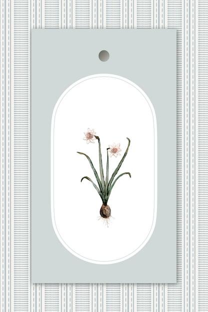 Daffodil Tags