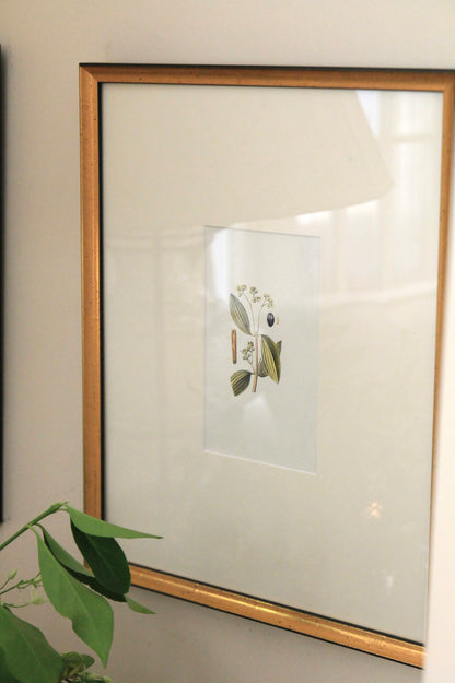 Narrow Print Mat Boards - Antique