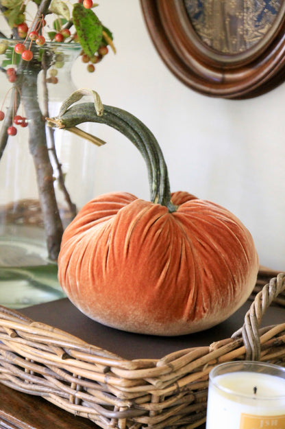Spice Velvet Pumpkins