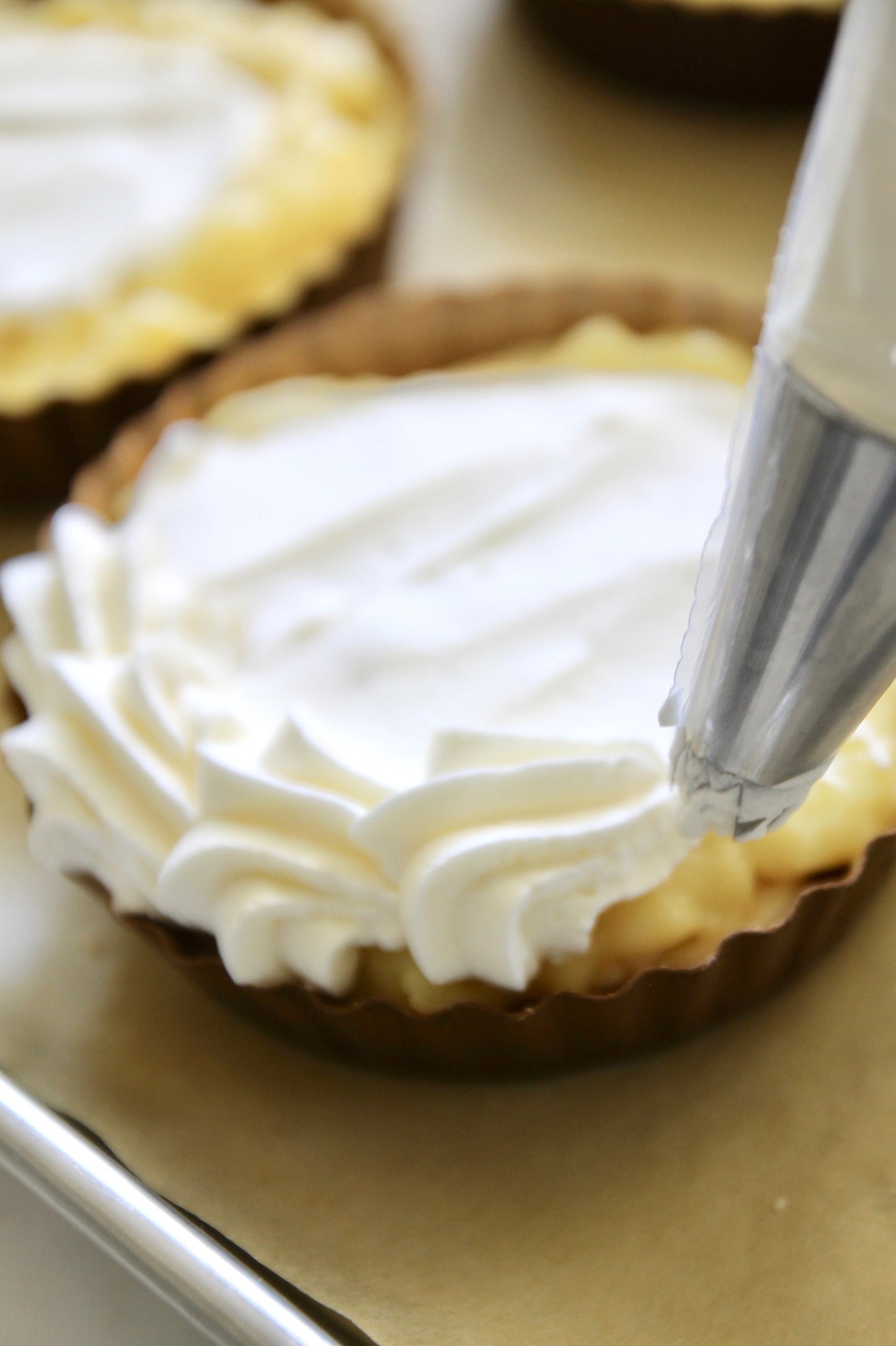 Disposable Pastry Bags | 2 sizes