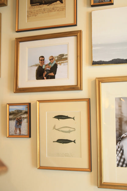 Norwhals - Print