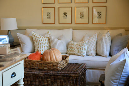 Pillow Inserts